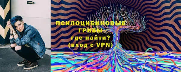ПСИЛОЦИБИНОВЫЕ ГРИБЫ Абдулино