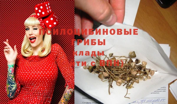 2c-b Абинск